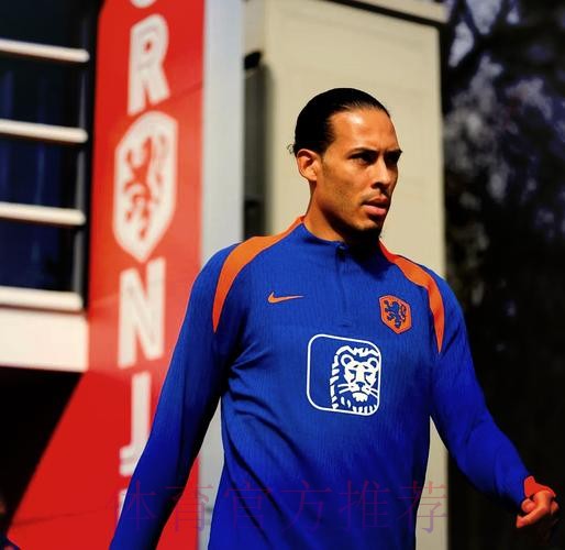 本届世界杯荷兰贝林厄姆阵容解析全面分析